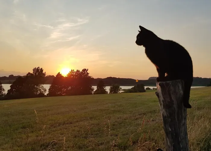 Seeblick * Klein Upahl